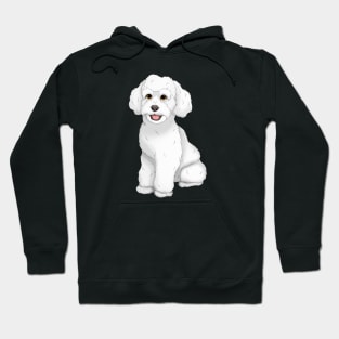 White Toy Poodle Dog Hoodie